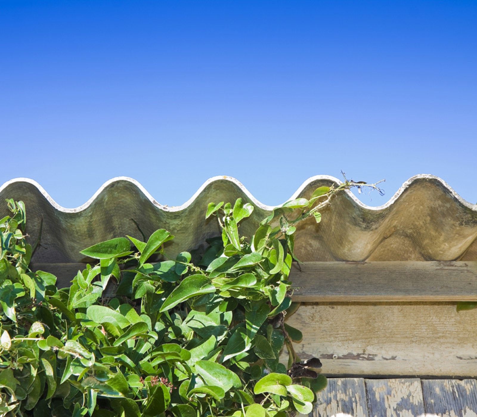 Asbestos Removal in Ewell: Asbestos Services in Ewell